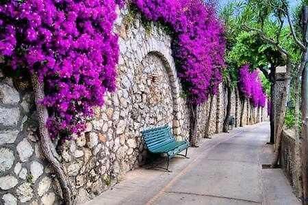 Gocce Villas - Skyline Sorrento Views In The Heart Of Sorrent Exterior foto